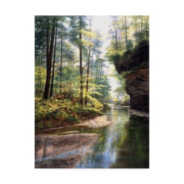 Bill Makinson 'Quiet Forest' Canvas Art, 24x32, Trademark Fine Art, Mfr#: ALI38871-C2432GG